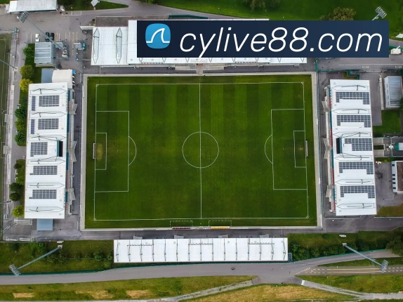 彩盈娱乐官网平台生态图