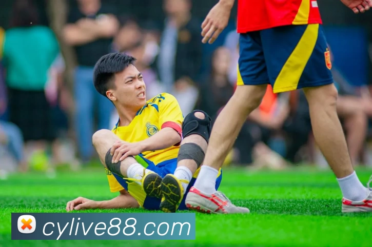 彩盈娱乐官网全站App